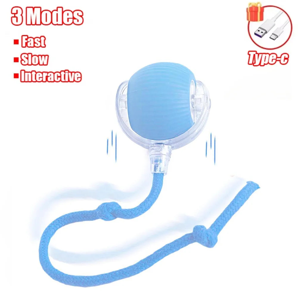 Pet Interactive Auto Rolling Ball with Tail Toy