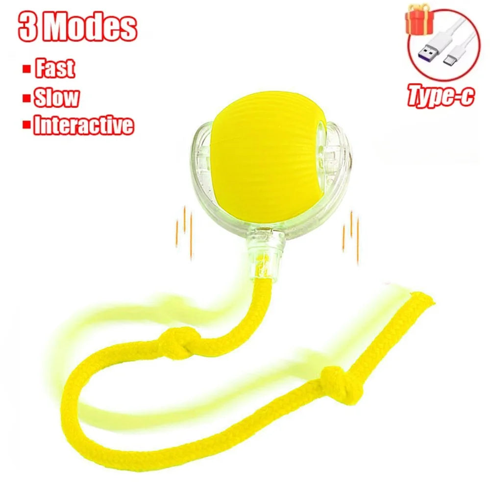 Pet Interactive Auto Rolling Ball with Tail Toy