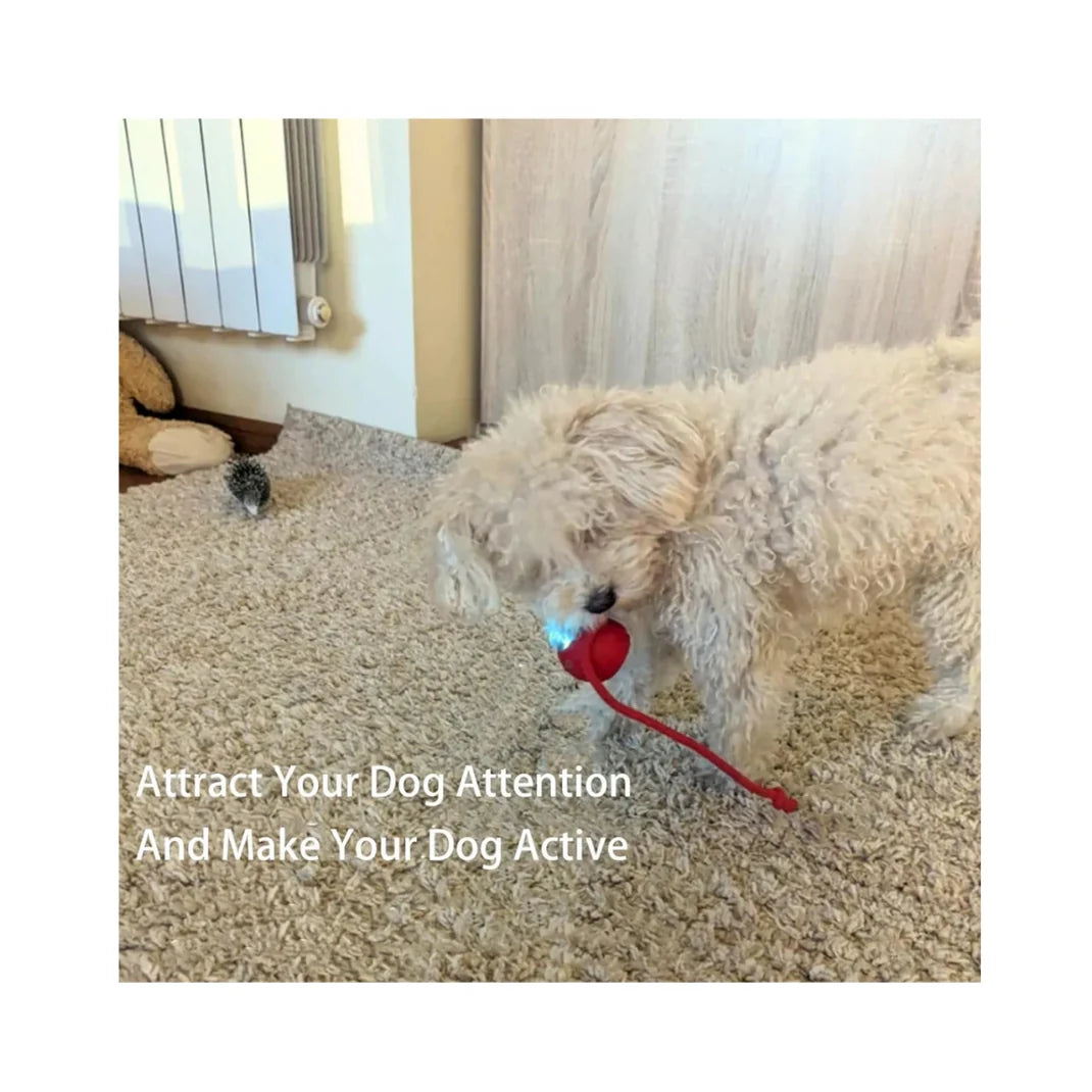 Pet Interactive Auto Rolling Ball with Tail Toy
