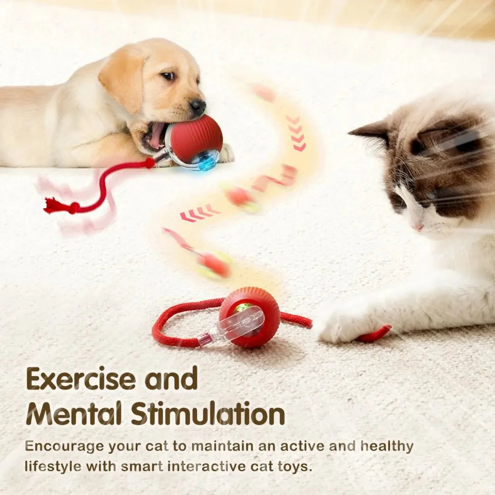 Pet Interactive Auto Rolling Ball with Tail Toy