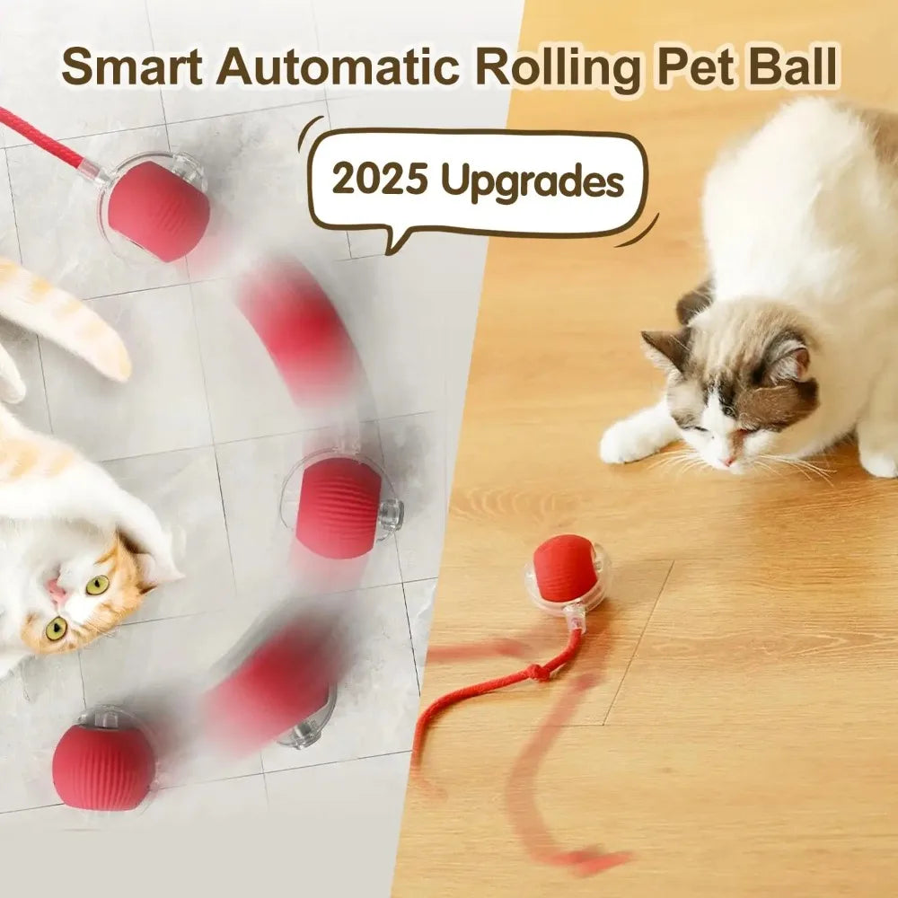 Pet Interactive Auto Rolling Ball with Tail Toy