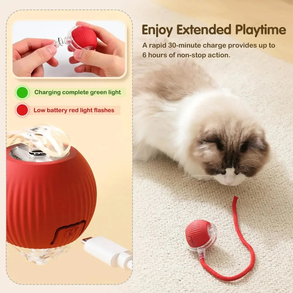 Pet Interactive Auto Rolling Ball with Tail Toy