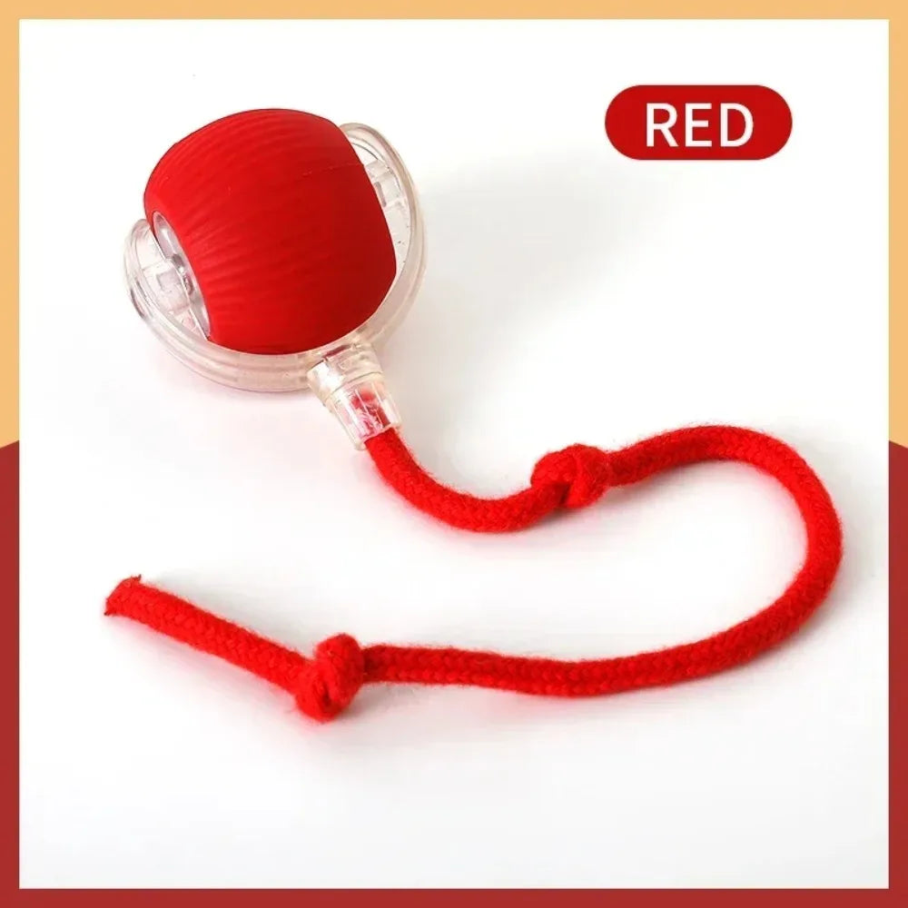 Pet Interactive Auto Rolling Ball with Tail Toy