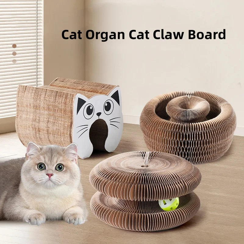Magic Organ Cat Scratching Board Toy