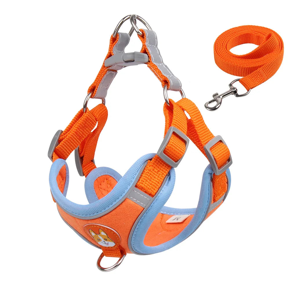 No Pull Pet Harness and Leash Set