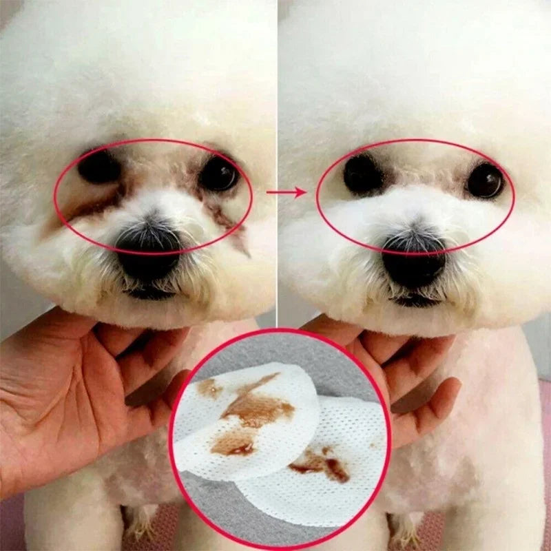 Pet Eye Wipes