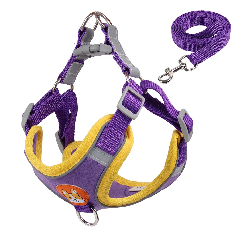 No Pull Pet Harness and Leash Set