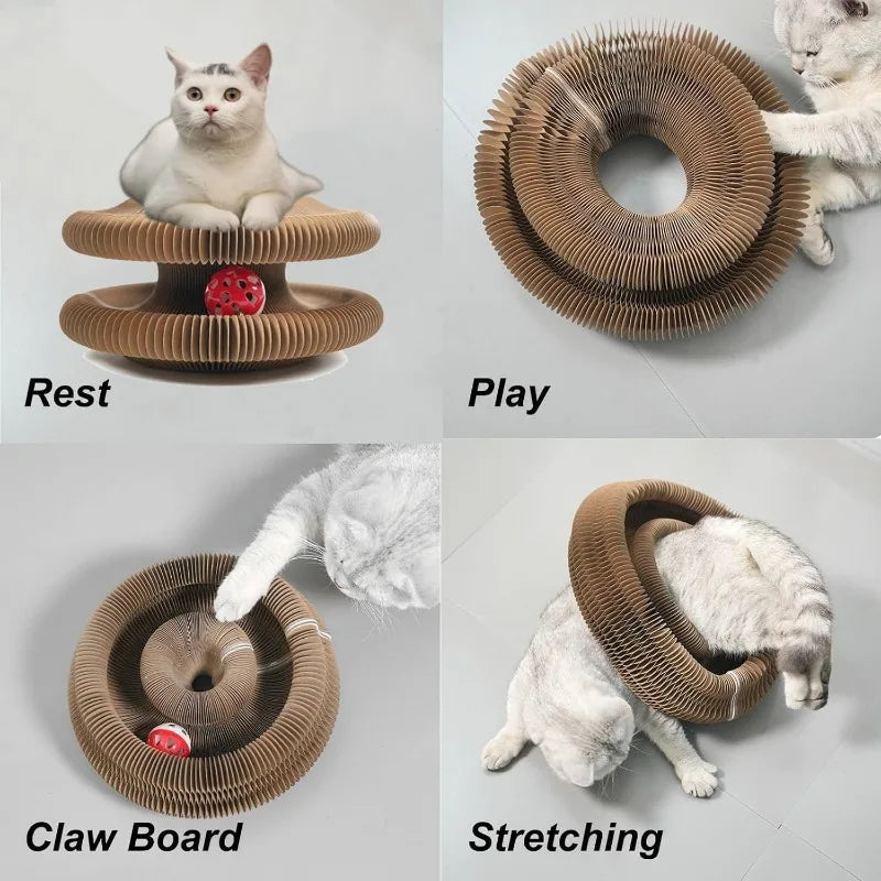 Magic Organ Cat Scratching Board Toy