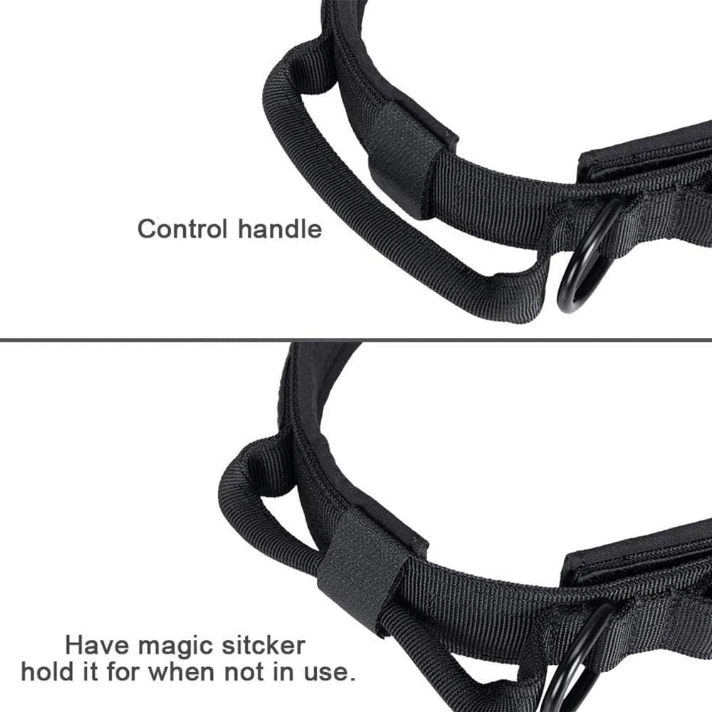 Tactical Dog Collar & Leash Set