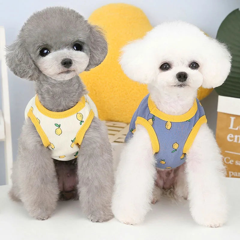 Lemon Pattern Dog Vest Shirt