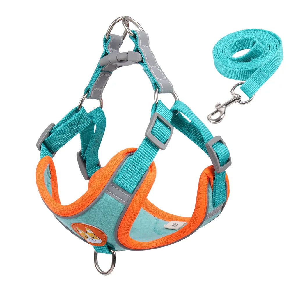 No Pull Pet Harness and Leash Set