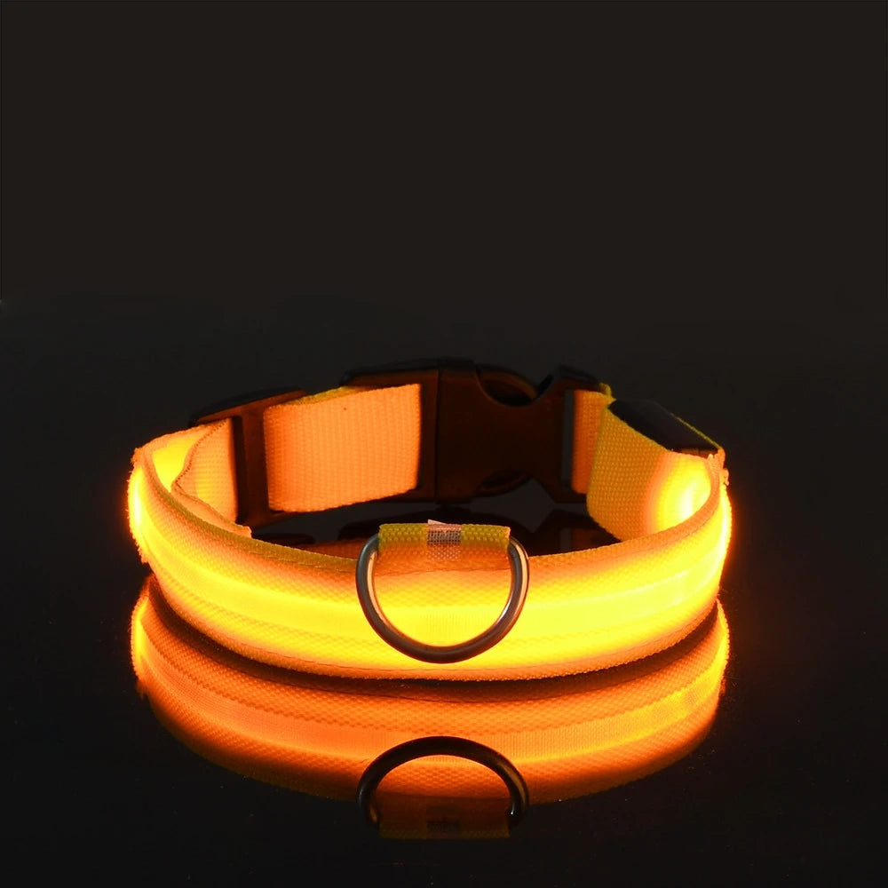Nylon LED Night Safety Flashing Glow Dog Collar