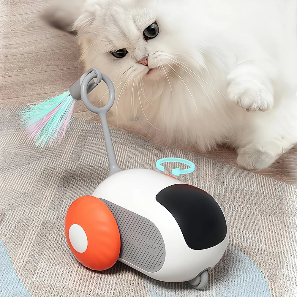 Chase, Pounce & Play