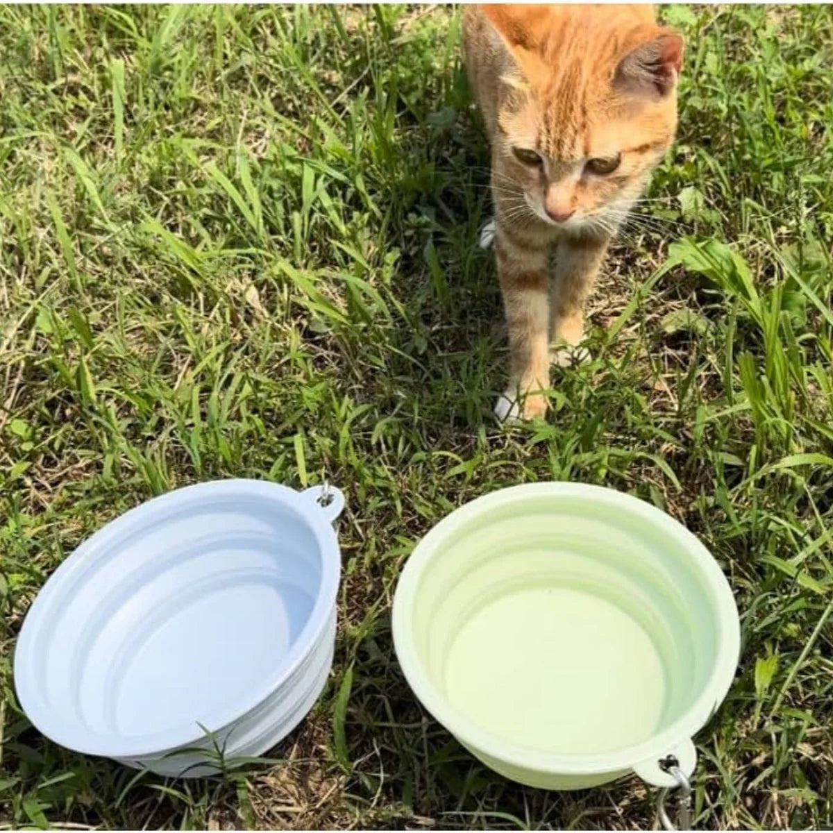 Collapsible Pet Silicone Bowls