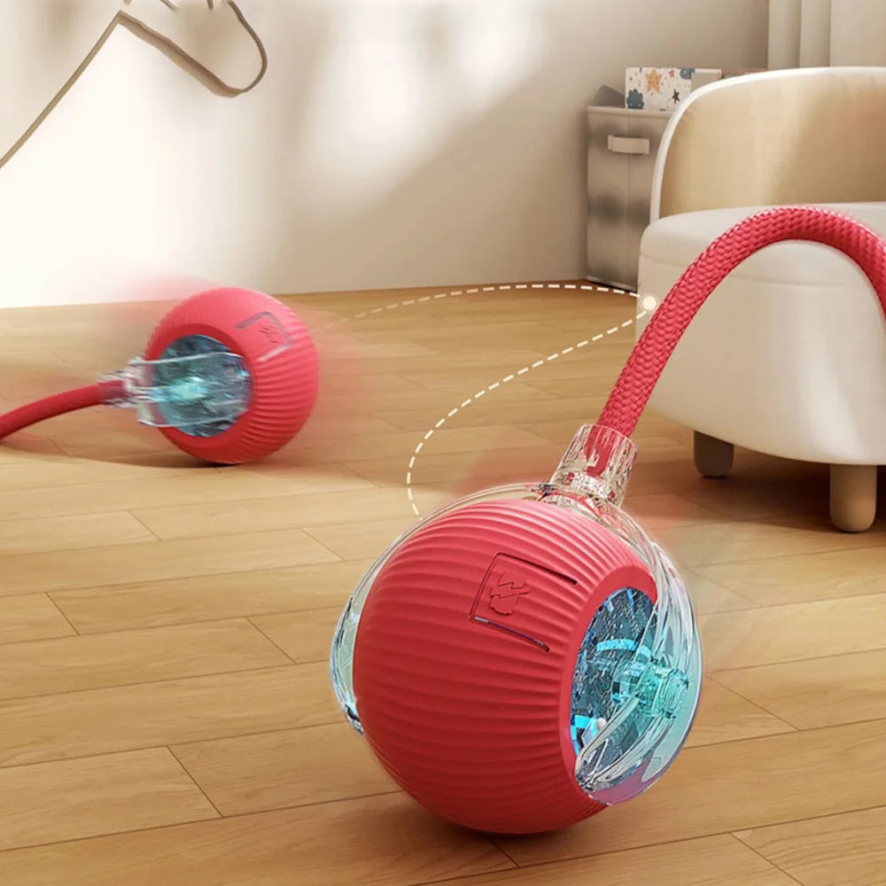 Pet Interactive Auto Rolling Ball with Tail Toy