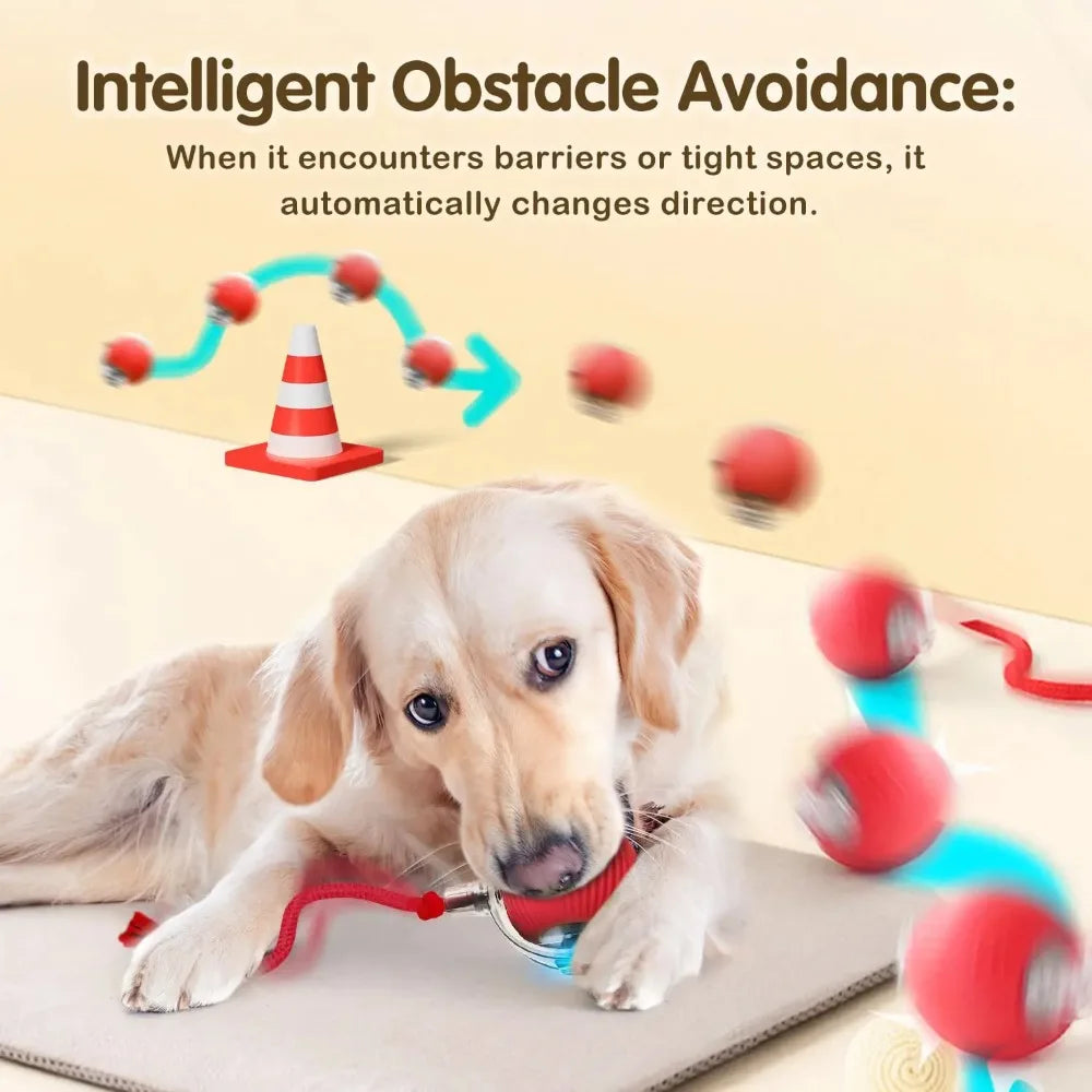 Pet Interactive Auto Rolling Ball with Tail Toy
