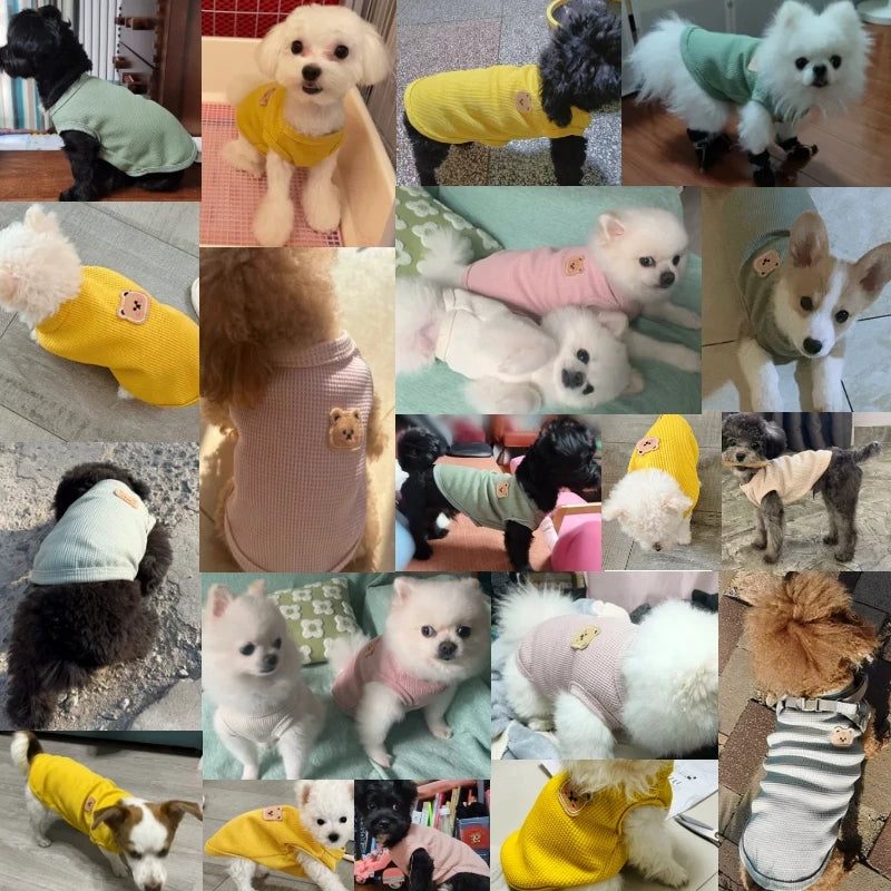 Breathable Waffle Pet T-Shirt