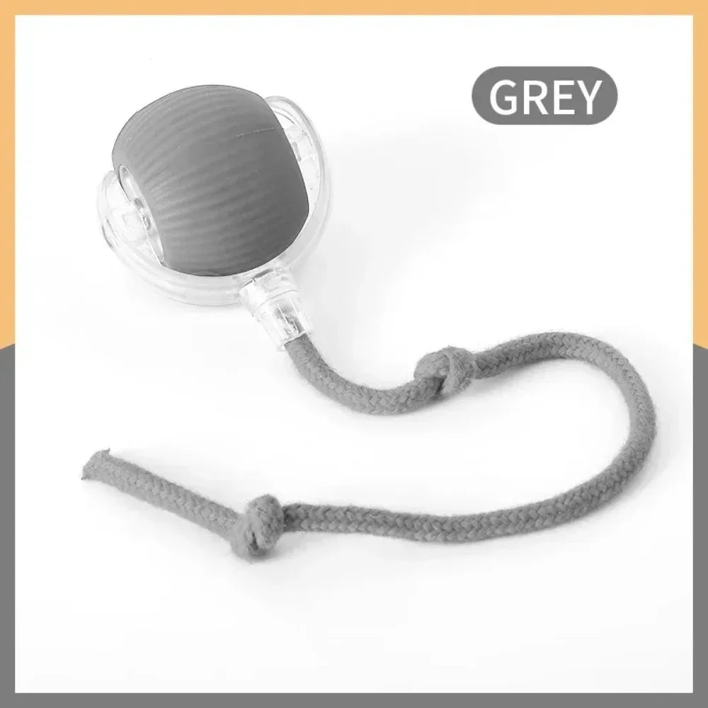 Pet Interactive Auto Rolling Ball with Tail Toy