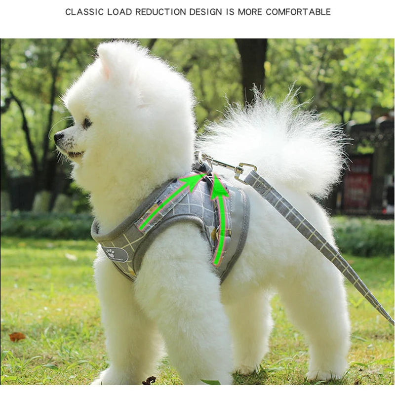 Adjustable Nylon Dog Harness & Leash Set