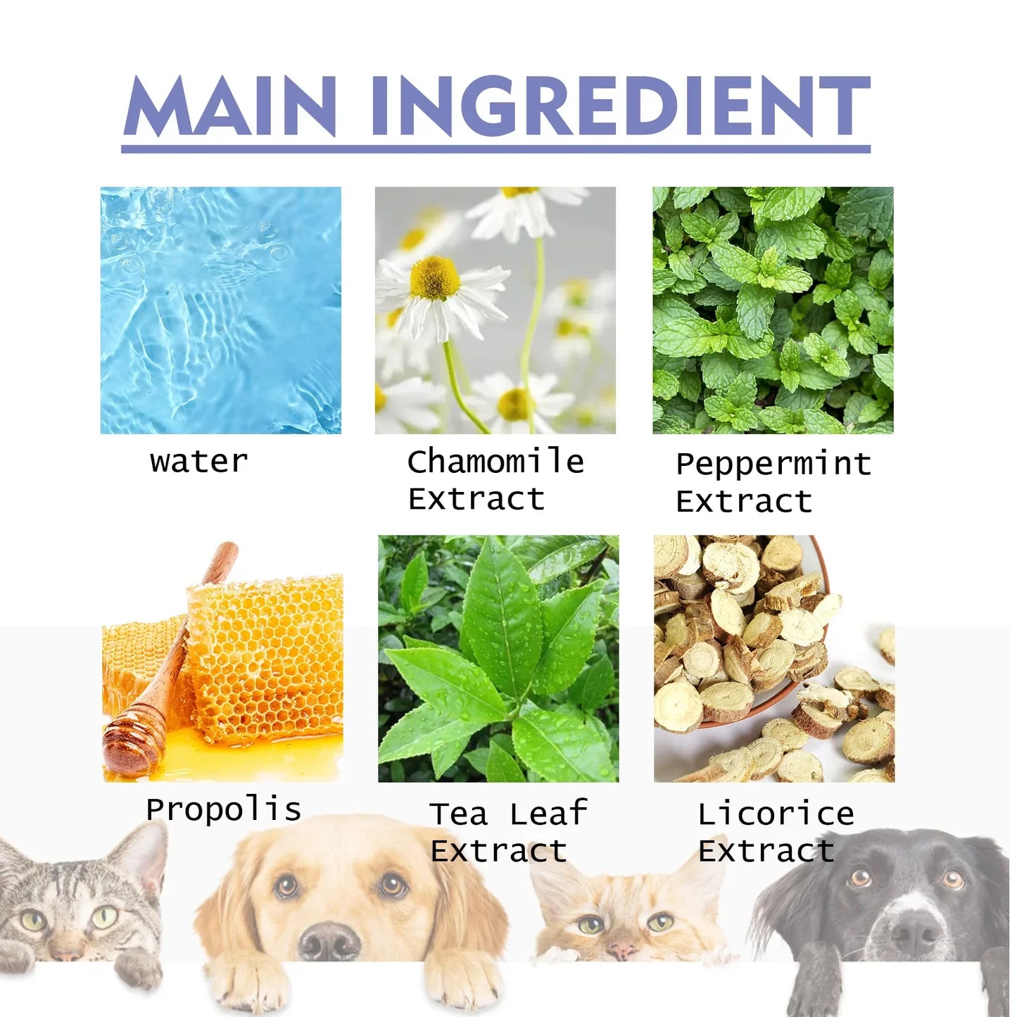 Pet Oral Cleanse Spray