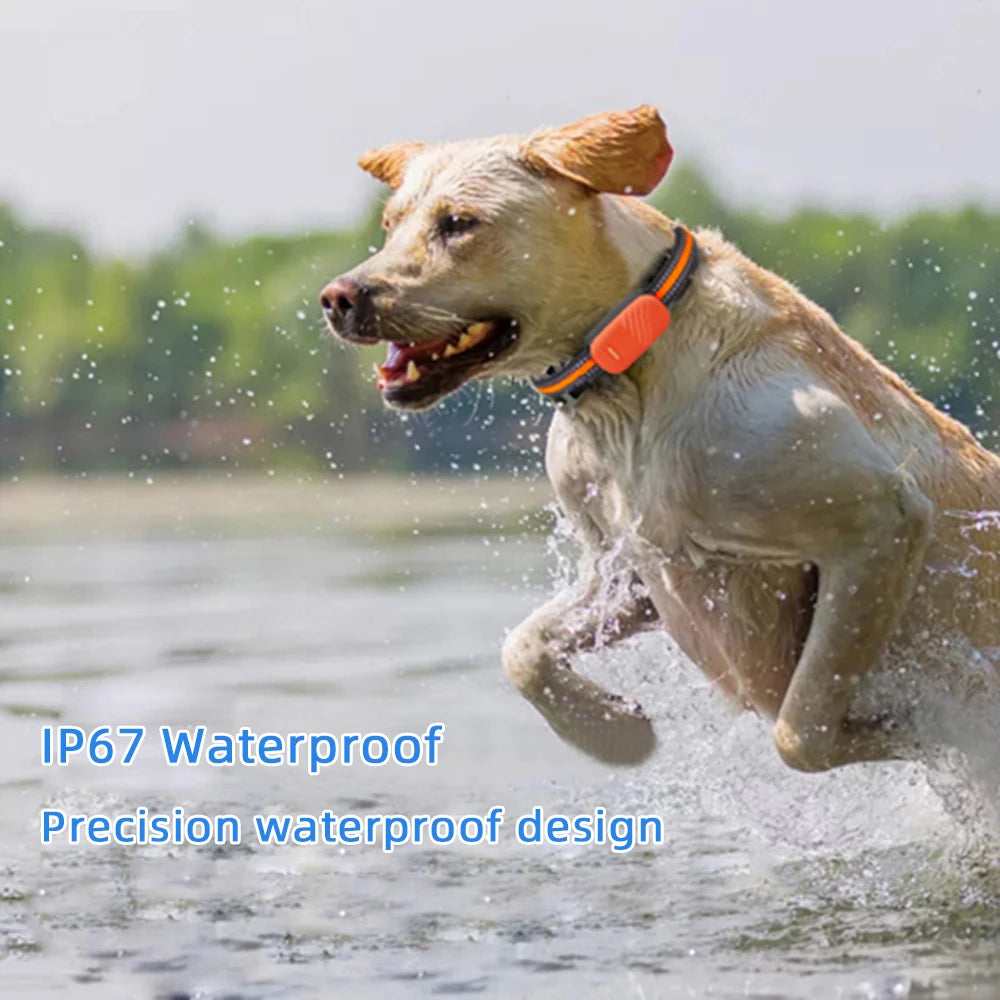 GPS Pet Tracker Collar
