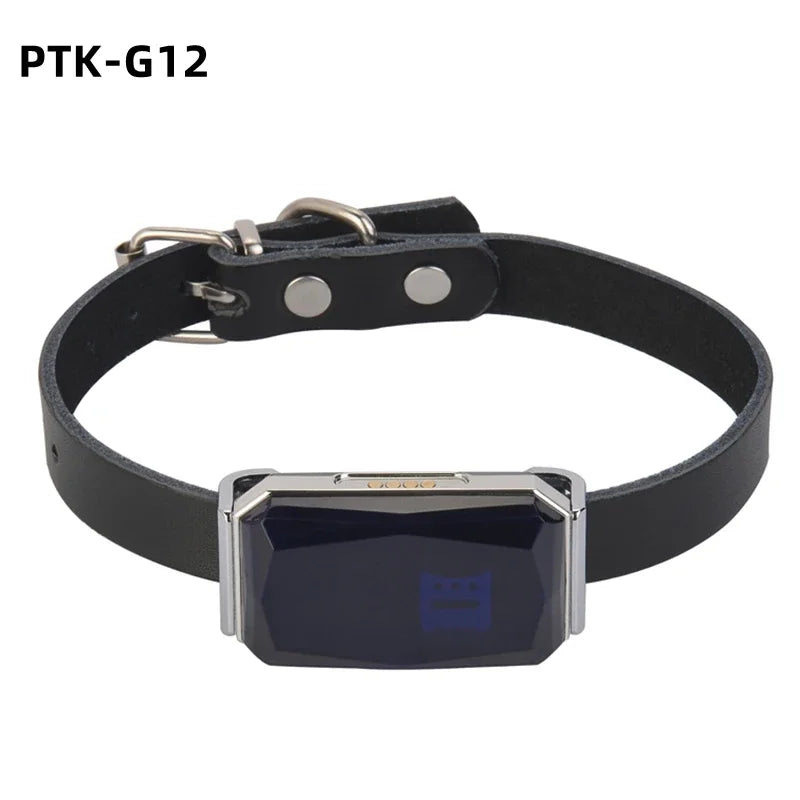 Dog Collar with GPS Tracker