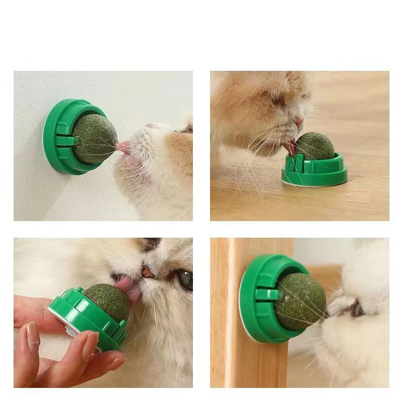 Catnip Wall Stick-on Ball Toy