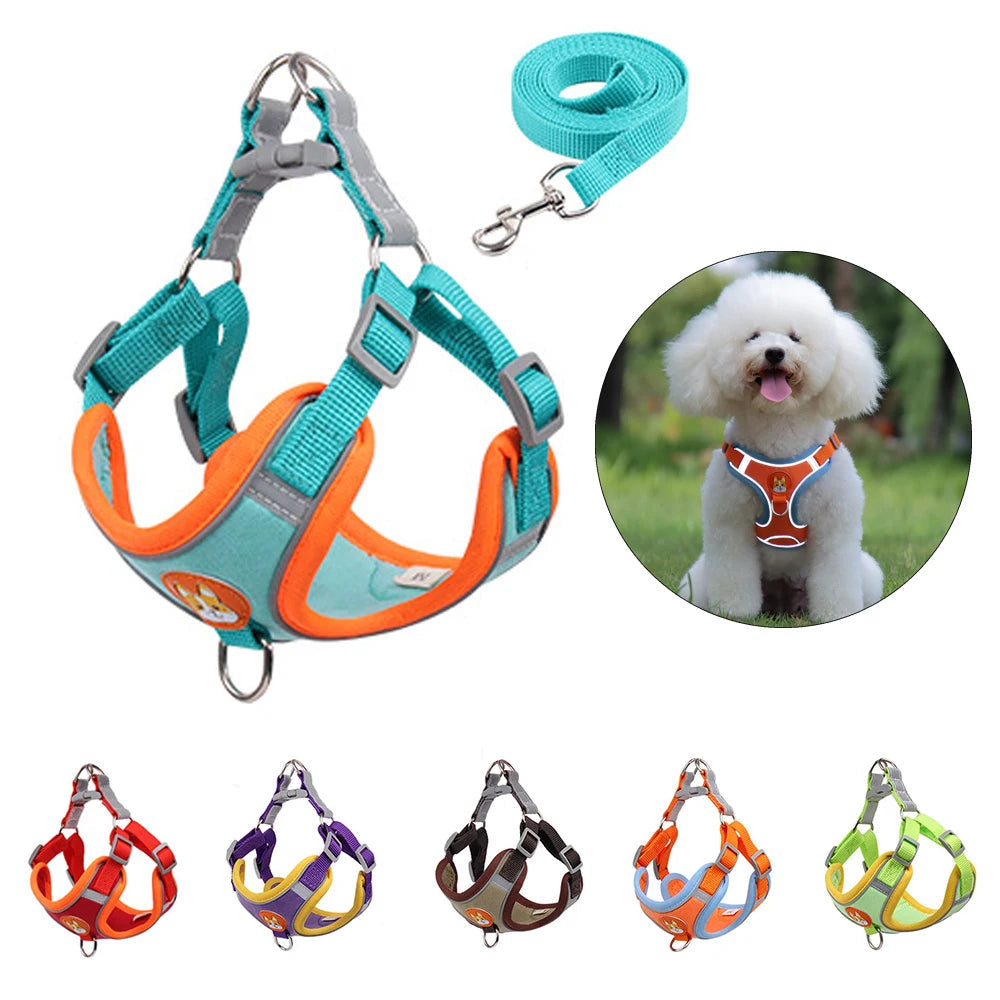 No Pull Pet Harness and Leash Set