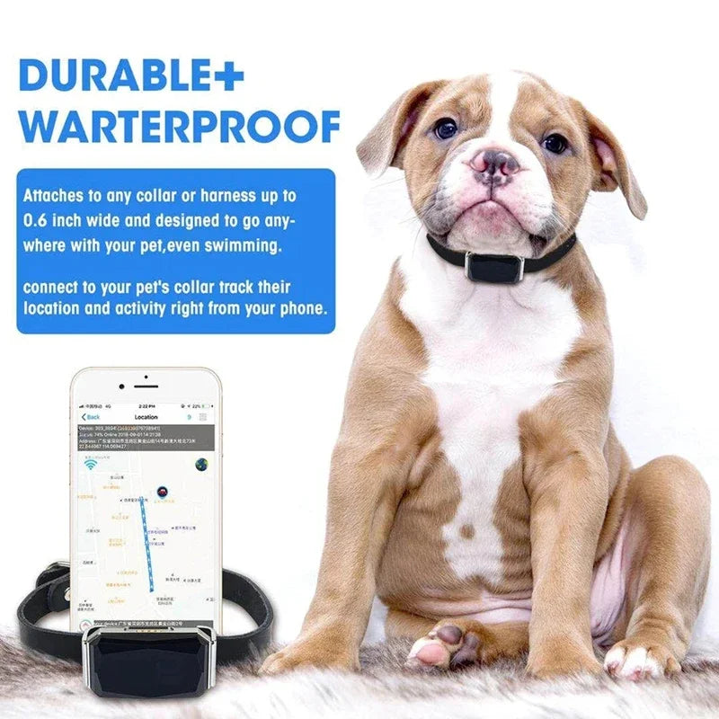 Dog Collar with GPS Tracker