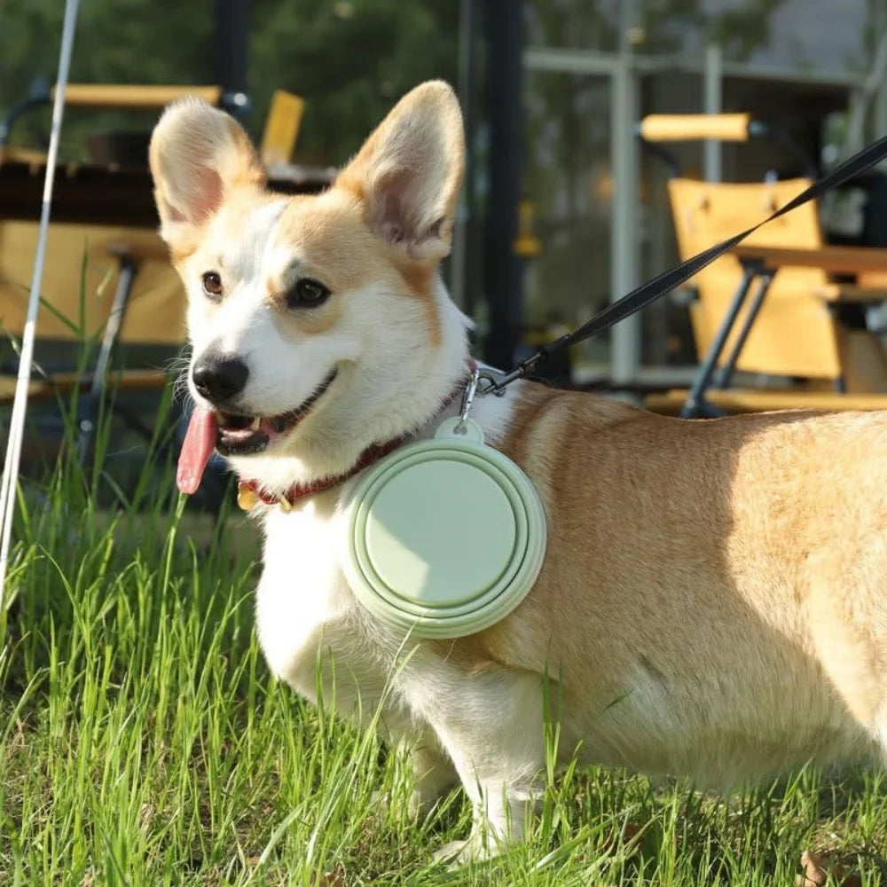 Collapsible Pet Silicone Bowls