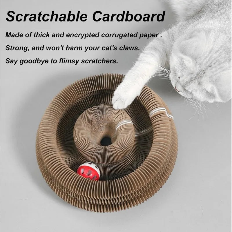 Magic Organ Cat Scratching Board Toy