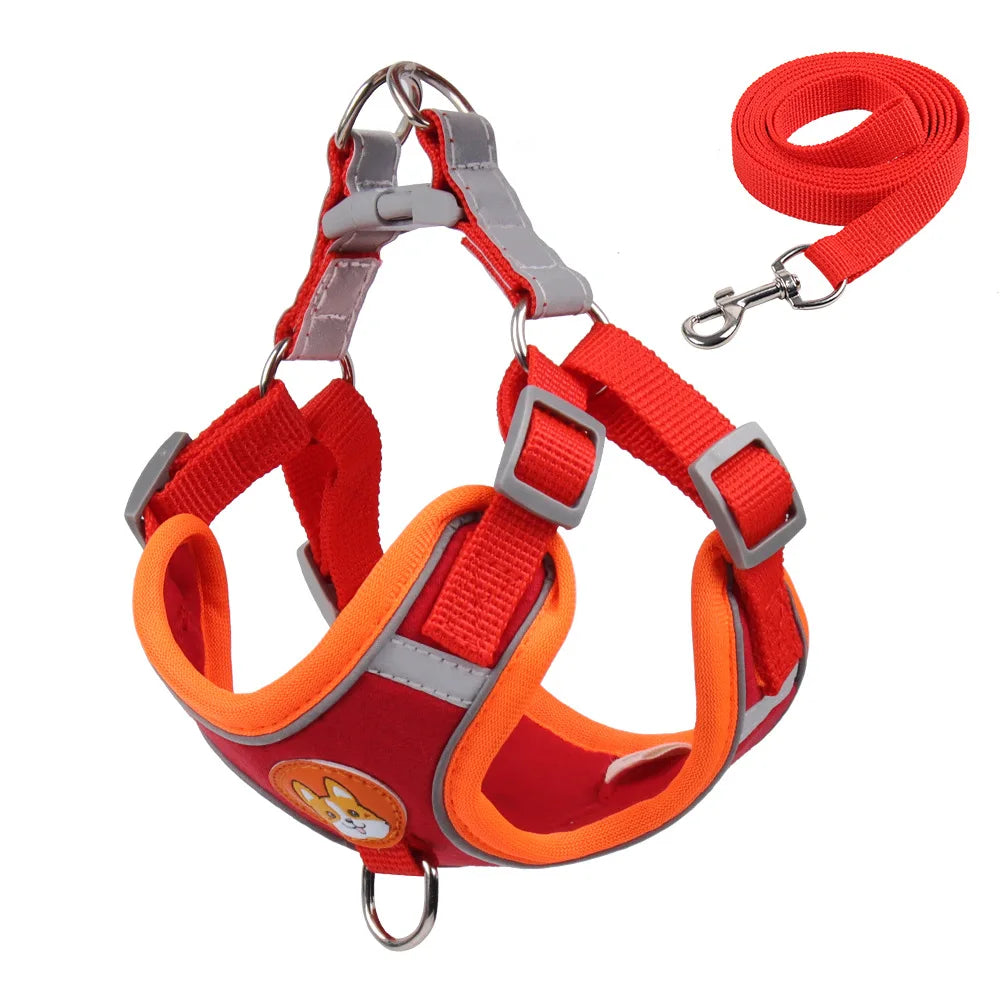 No Pull Pet Harness and Leash Set