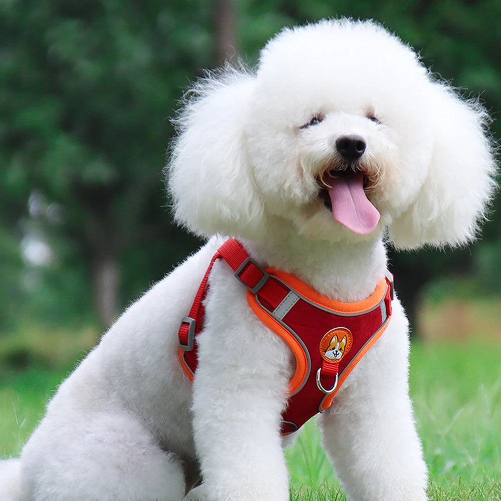 No Pull Pet Harness and Leash Set