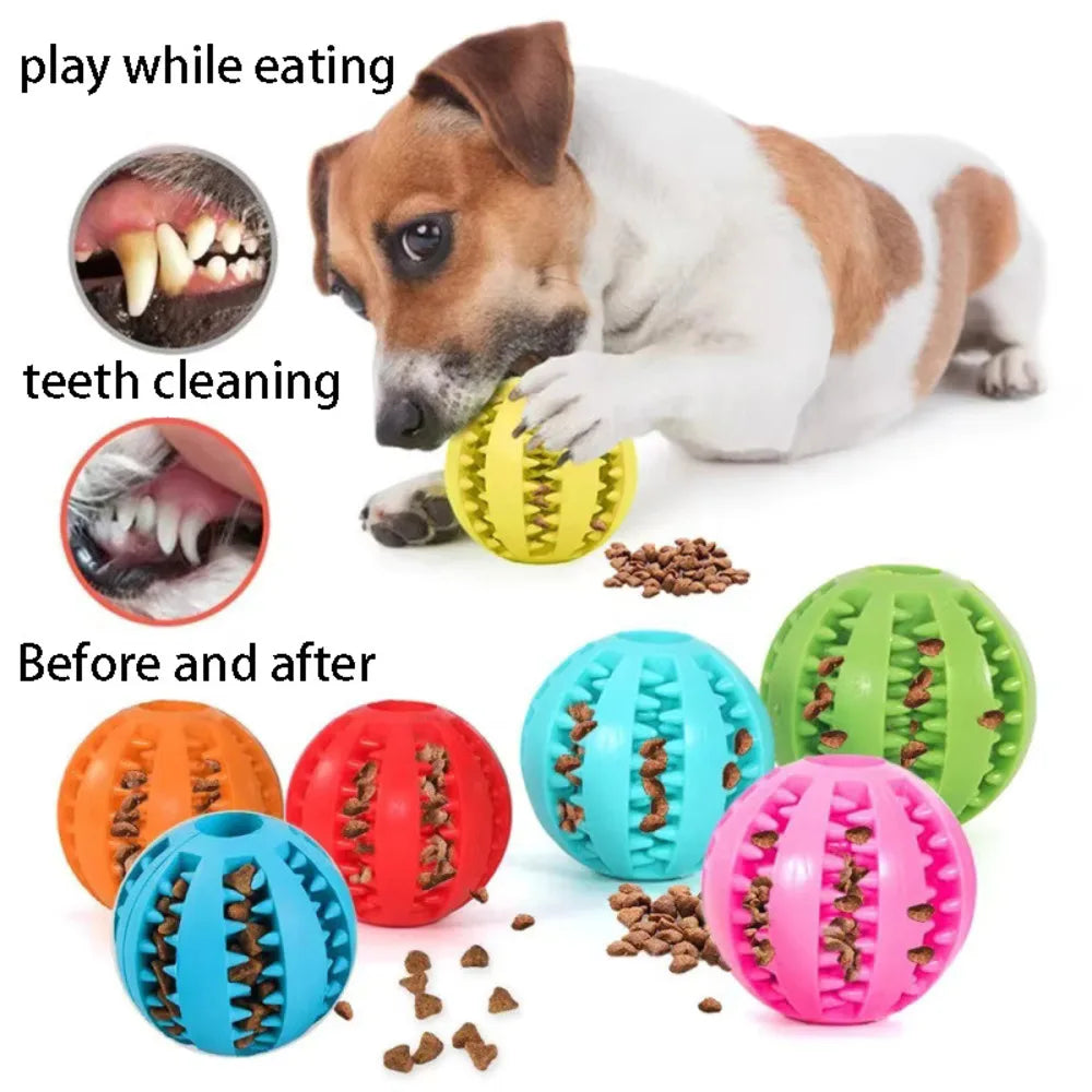 Interactive Rubber Food Ball