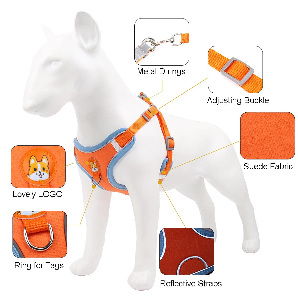 No Pull Pet Harness and Leash Set