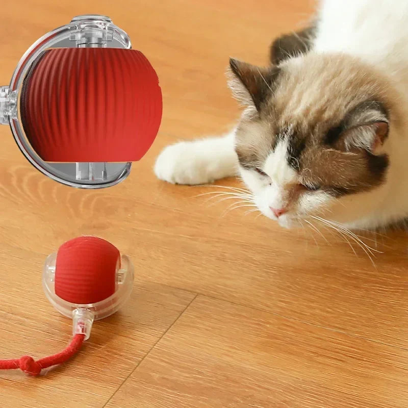 Pet Interactive Auto Rolling Ball with Tail Toy