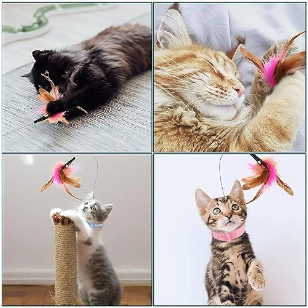 Cat Interactive Toys Feather Collar Self-healing