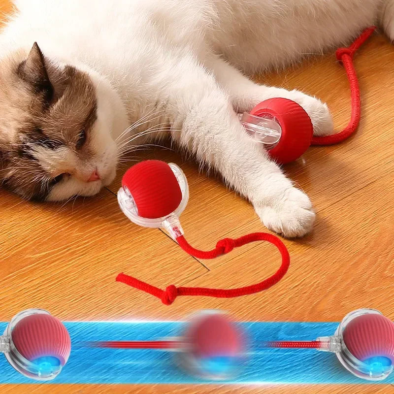 Pet Interactive Auto Rolling Ball with Tail Toy