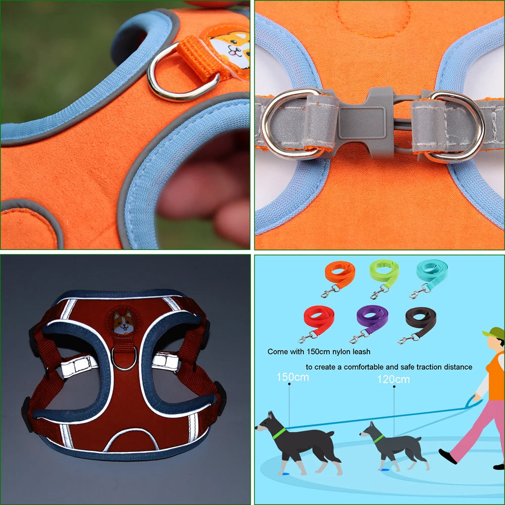 No Pull Pet Harness and Leash Set