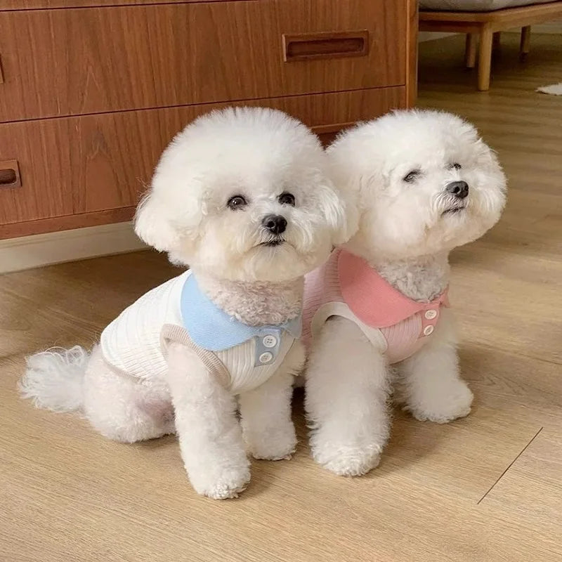 Pet Polo Shirt