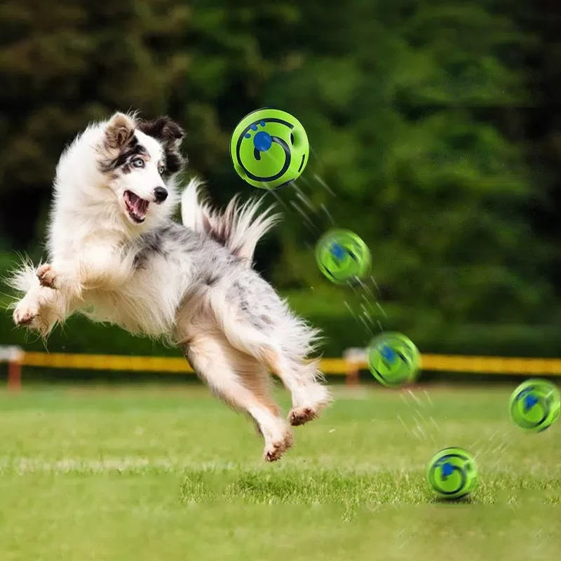 Wobble Wag Giggle Glow Ball