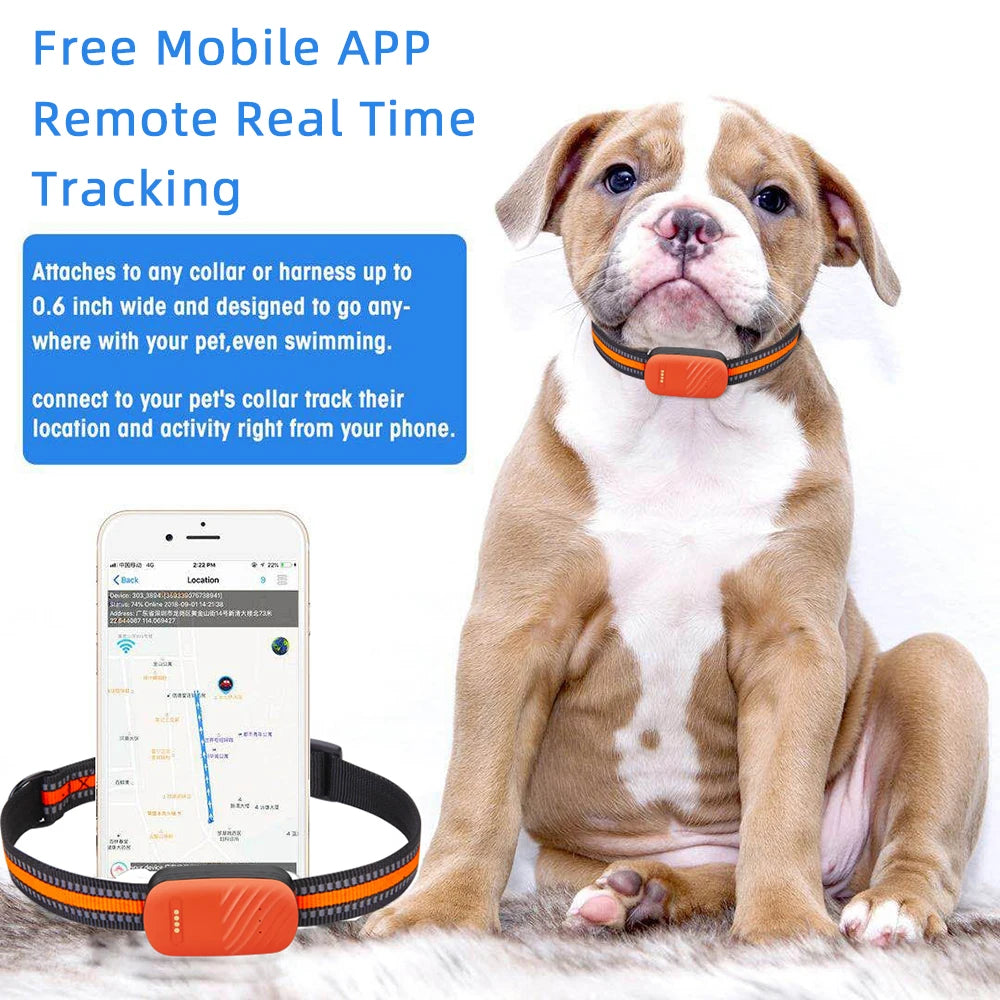GPS Pet Tracker Collar
