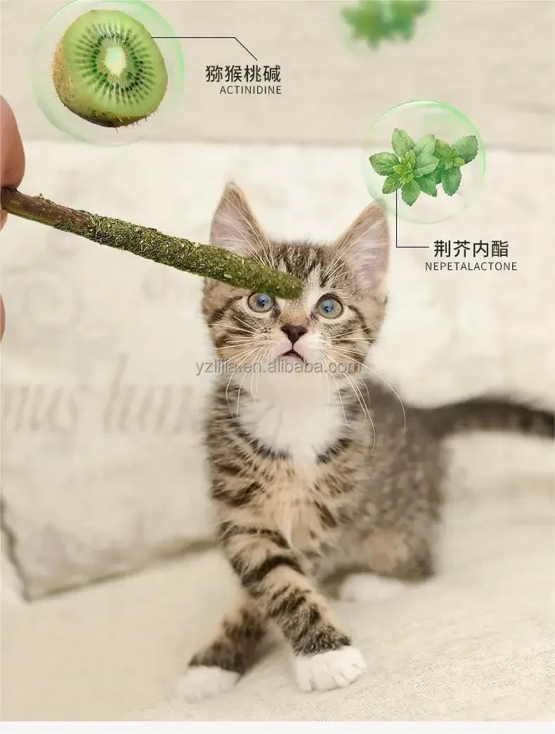 Natural Matatabi Cat Sticks