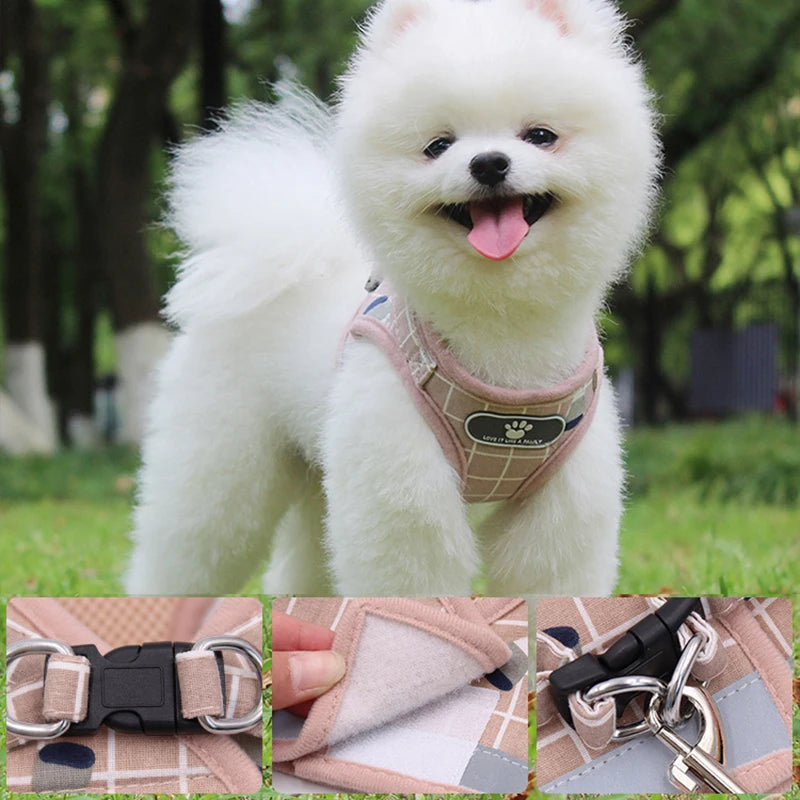 Adjustable Nylon Dog Harness & Leash Set