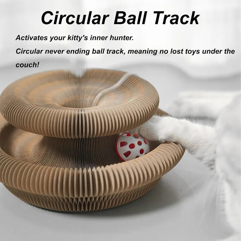 Magic Organ Cat Scratching Board Toy