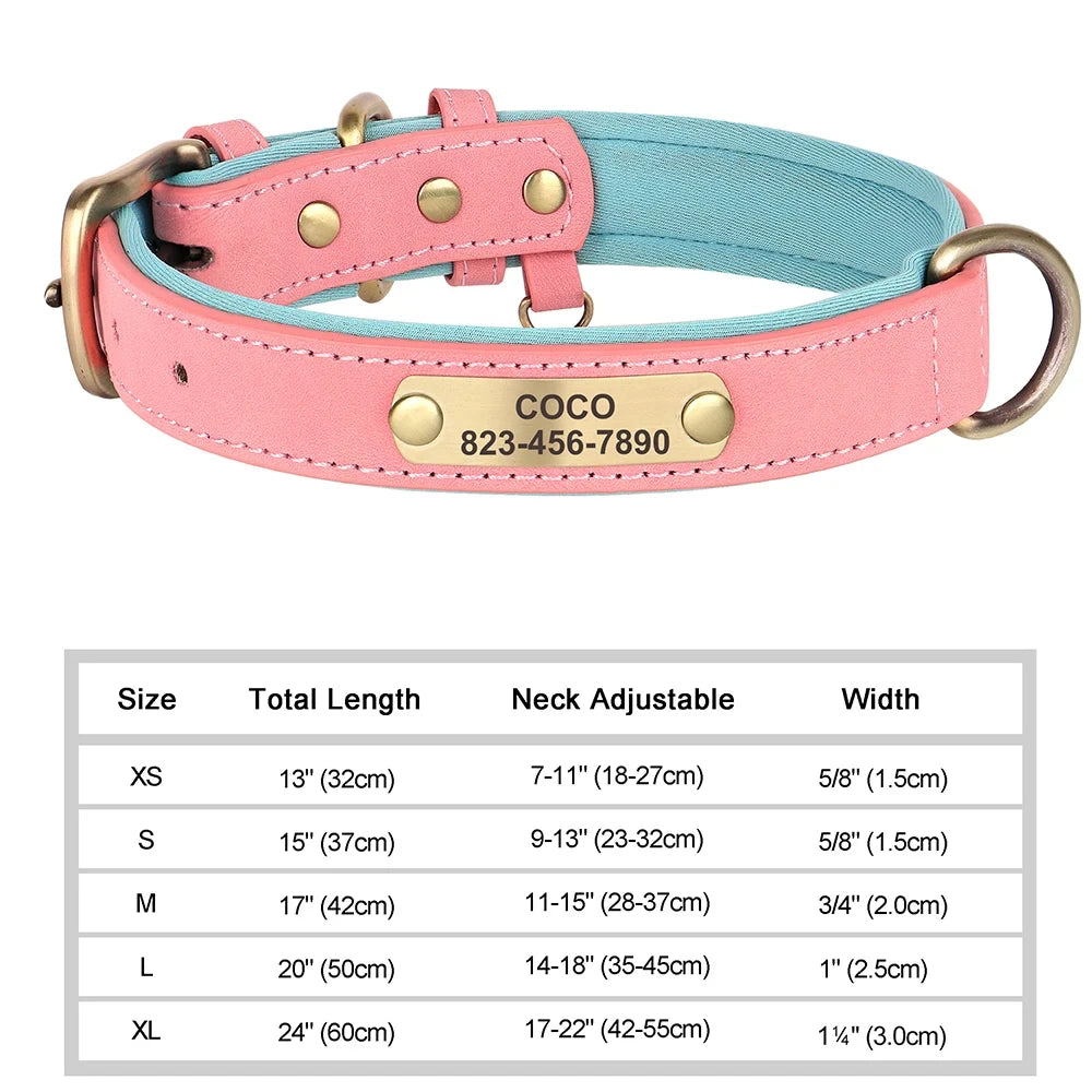 Customized Leather ID Dog Collar