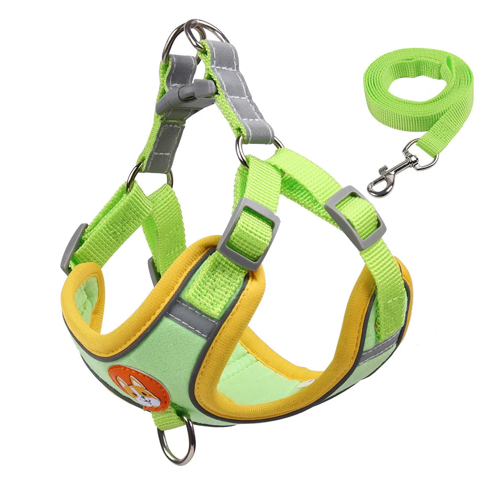 No Pull Pet Harness and Leash Set
