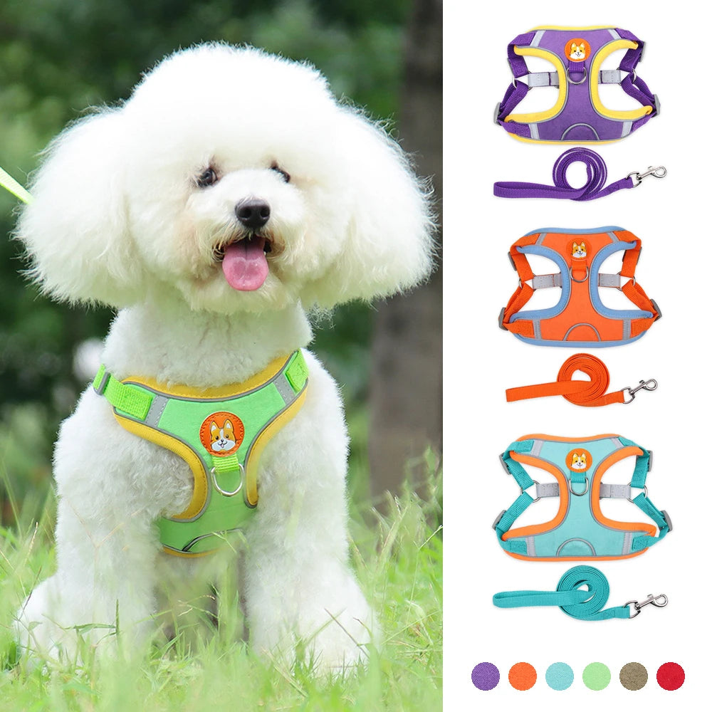No Pull Pet Harness and Leash Set