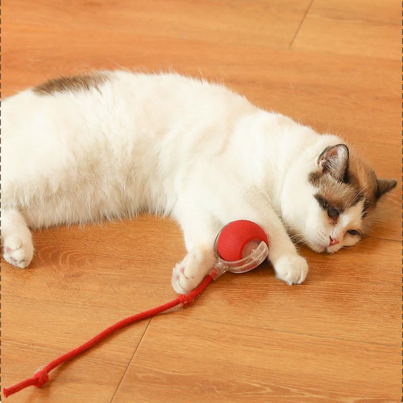Pet Interactive Auto Rolling Ball with Tail Toy