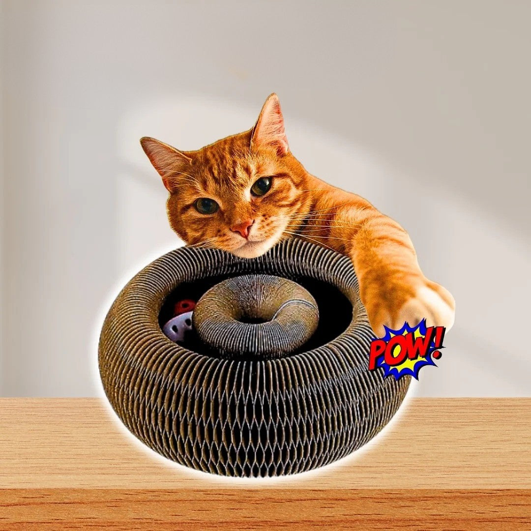 Magic Organ Cat Scratching Board Toy